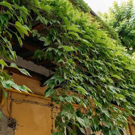 Cosy Apartment - Loftaffair Krakow Exterior photo